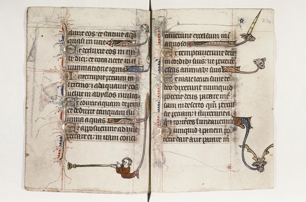 BODLEIAN_10310766476